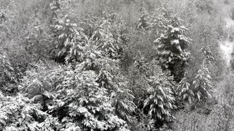 Meteorolojiden Erzincan için çığ uyarısı