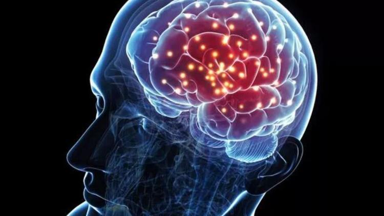 Beyin ölümü nedir Beyin ölümü gerçekleşen hasta iyileşir mi