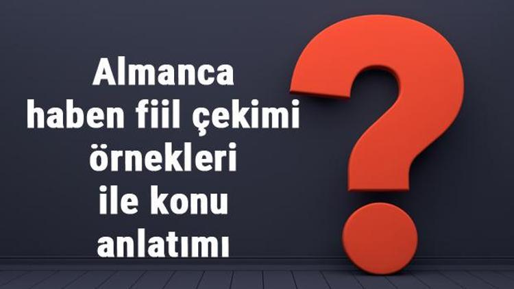 Almanca haben fiil çekimi örnekleri ile konu anlatımı