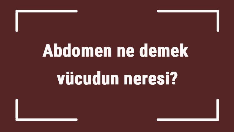 Abdomen ne demek, vücudun neresi Abdomen us üst neden çekilir