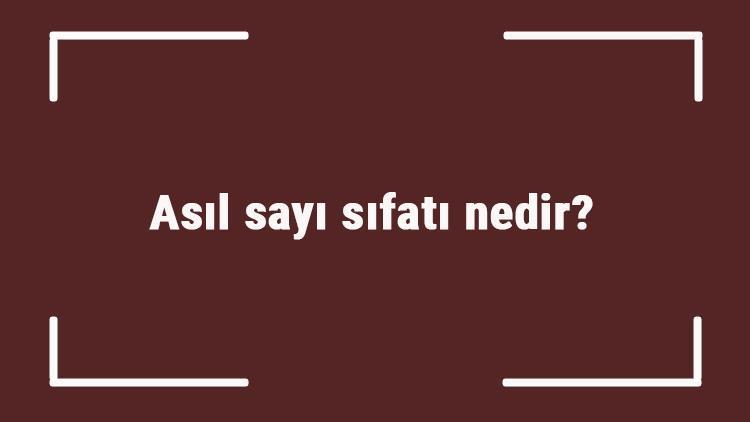 Asıl sayı sıfatı nedir Asıl sayı sıfatı ile ilgili örnek cümleler ve konu anlatımı