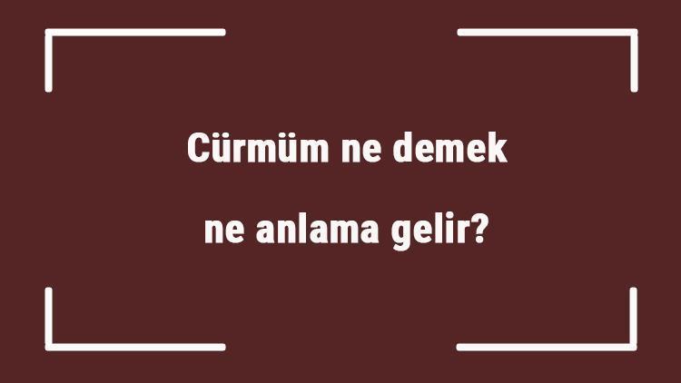 Cürmüm ne demek, ne anlama gelir TDKya göre cürmüm kelimesi sözlük anlamı