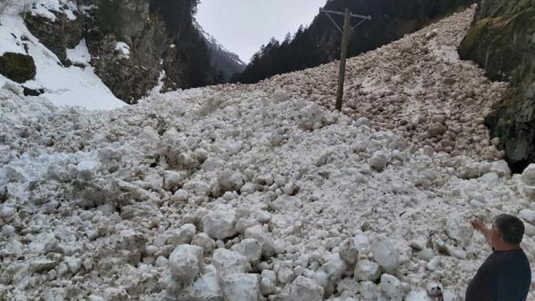 Rize’de çığ düşen yayla yolu ulaşıma kapandı