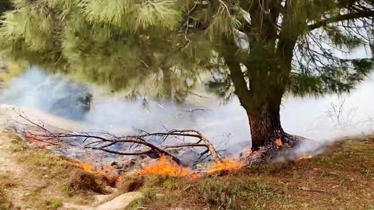 Muğla Yatağanda orman yangını Ekipler müdahale ediyor