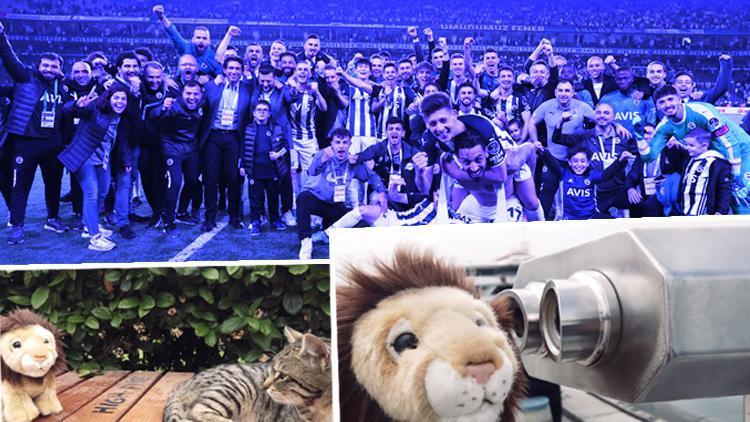 Fenerbahçeden derbi sonrası Galatasarayı tiye alan paylaşım Bir aslan miyav dedi