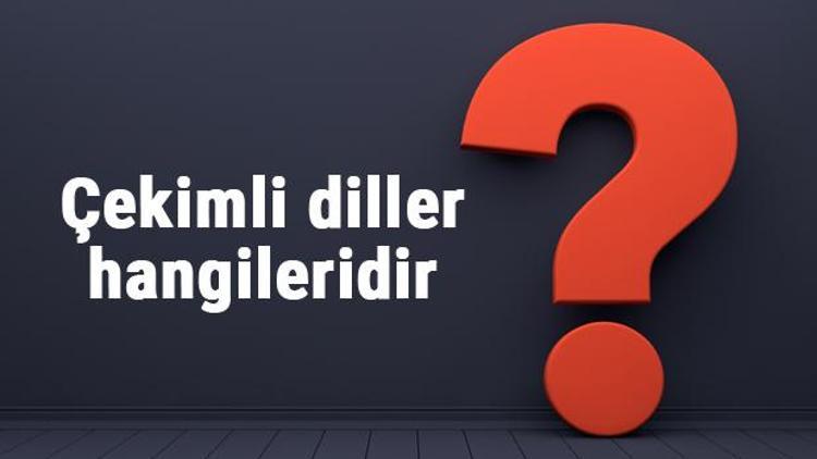 Çekimli diller hangileridir Çekimli dillerin özellikleri nelerdir