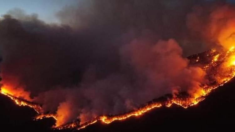 Meksikanın Nuevo Leon eyaletindeki orman yangını kontrolden çıktı