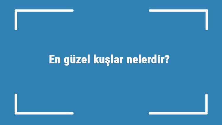 En güzel kuşlar nelerdir En güzel kuş türleri ve isimleri