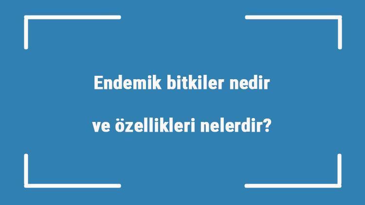 Endemik bitkiler nedir ve özellikleri nelerdir? Endemik bitkiler neden önemli ve nasıl korunur