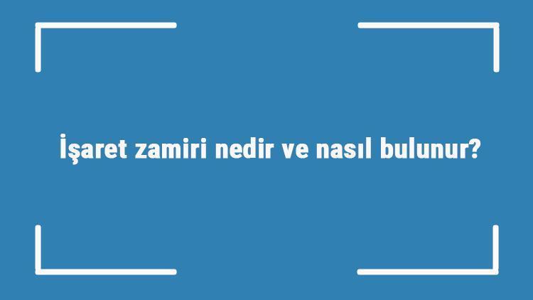 İşaret zamiri nedir ve nasıl bulunur İşaret zamiri örnek cümleleri ile konu anlatımı