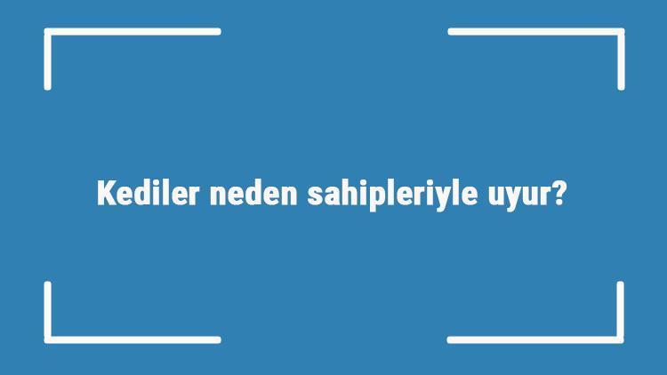 Kediler neden sahipleriyle uyur Kediler neden sahiplerinin üstünde ve ayak ucunda yatar