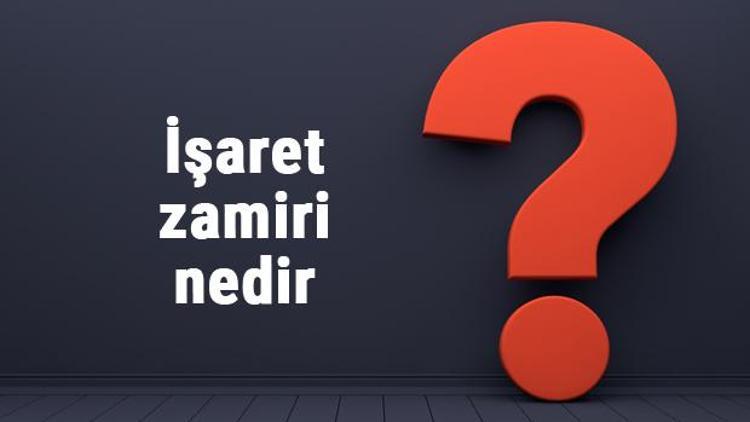 İşaret zamiri nedir İşaret zamirleri örnekleri ve cümleleri ile konu anlatımı