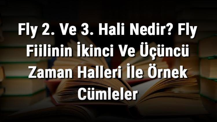 Fly 2. Ve 3. Hali Nedir Fly Fiilinin İkinci Ve Üçüncü Zaman Halleri İle Örnek Cümleler