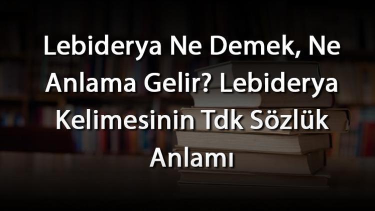 Lebiderya Ne Demek, Ne Anlama Gelir Lebiderya Kelimesinin Tdk Sözlük Anlamı