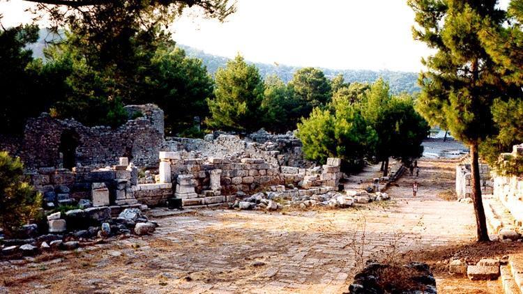 Phaselis nedir, ne demek Phaselisin kelime anlamı