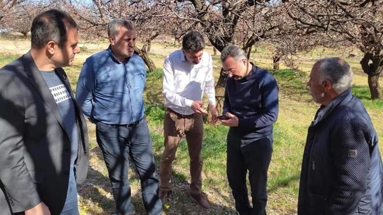 Elazığda zirai don nedeniyle hasar tespit çalışmaları başladı