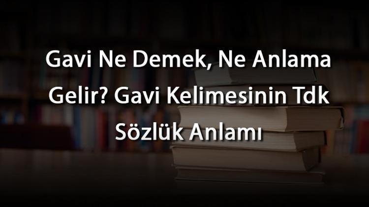 Gavi Ne Demek, Ne Anlama Gelir Gavi Kelimesinin Tdk Sözlük Anlamı