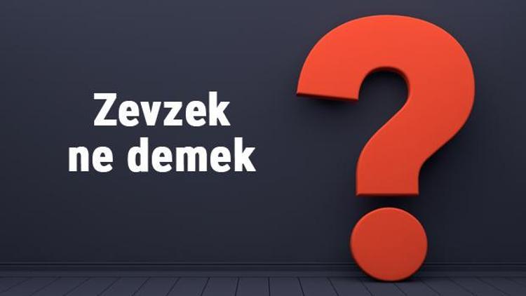 Zevzek ne demek, ne anlama gelir Zevzeklik kelimesinin tdk sözlük anlamı