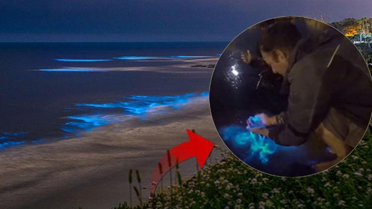 Denizde mavi ışık heyecanı Photoshop değil gerçek: “Bu bir sihir gibi…”