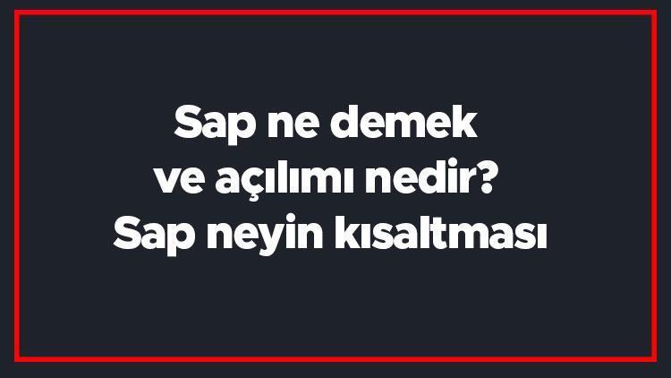 Sap ne demek ve açılımı nedir Sap neyin kısaltması