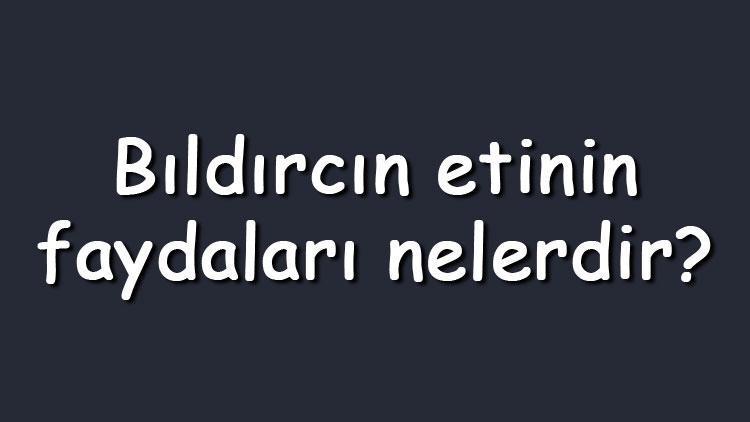 Bıldırcın etinin faydaları nelerdir Lezzetli mi Nereden satın alınabilir