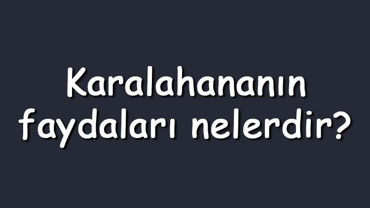 Karalahananın faydaları nelerdir Neye iyi gelir Nasıl tüketilmeli