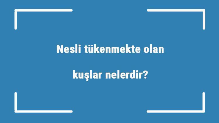 Nesli tükenmekte olan kuşlar nelerdir