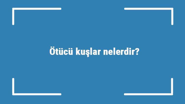 Ötücü kuşlar nelerdir Öten kuşların türleri ve isimleri