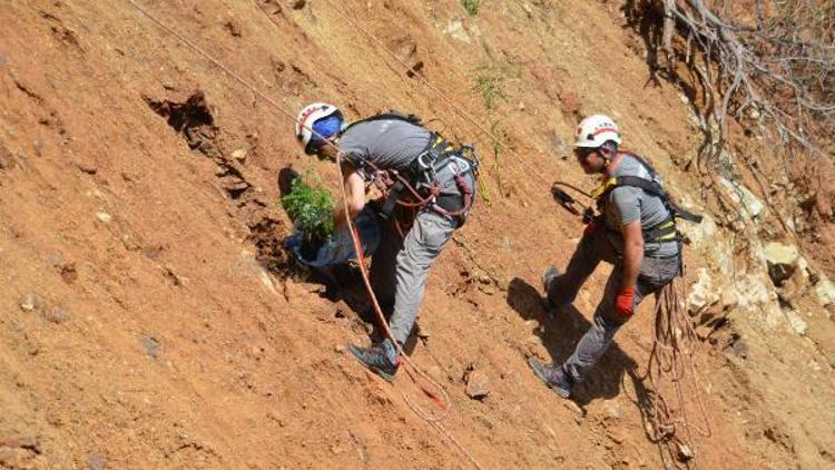 Marmariste halatlarla yamaca fidan dikildi