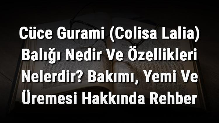 Cüce Gurami (Colisa Lalia) Balığı Nedir Ve Özellikleri Nelerdir? Bakımı, Yemi Ve Üremesi Hakkında Rehber