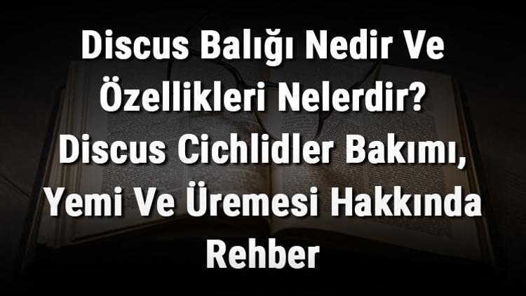 Discus Balığı Nedir Ve Özellikleri Nelerdir Discus Cichlidler Bakımı, Yemi Ve Üremesi Hakkında Rehber