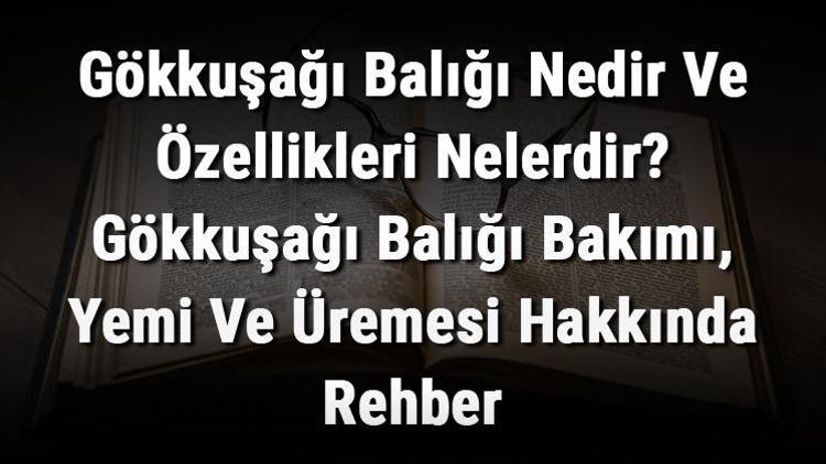 Gökkuşağı Balığı Nedir Ve Özellikleri Nelerdir? Gökkuşağı Balığı Bakımı, Yemi Ve Üremesi Hakkında Rehber