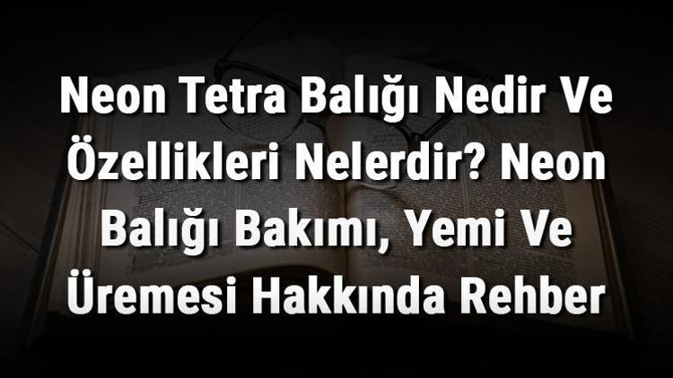 Neon Tetra Balığı Nedir Ve Özellikleri Nelerdir Neon Balığı Bakımı, Yemi Ve Üremesi Hakkında Rehber