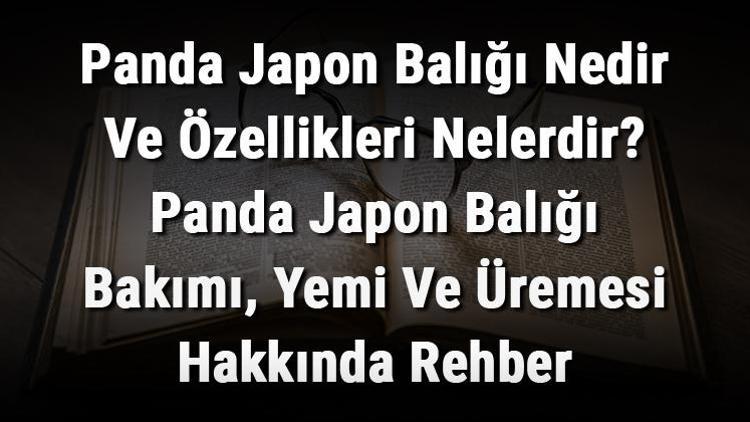 Panda Japon Balığı Nedir Ve Özellikleri Nelerdir Panda Japon Balığı Bakımı, Yemi Ve Üremesi Hakkında Rehber