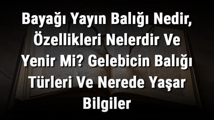 Bayağı Yayın Balığı Nedir, Özellikleri Nelerdir Ve Yenir Mi Gelebicin Balığı Türleri Ve Nerede Yaşar Bilgiler