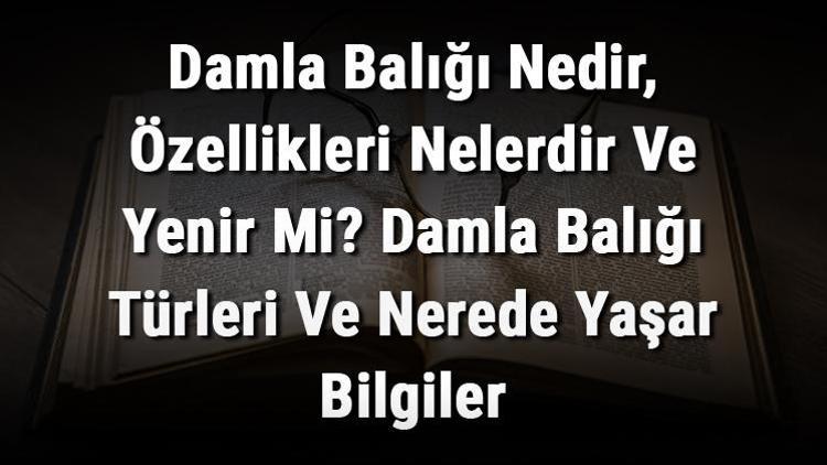 Damla Balığı Nedir, Özellikleri Nelerdir Ve Yenir Mi? Damla Balığı Türleri Ve Nerede Yaşar Bilgiler