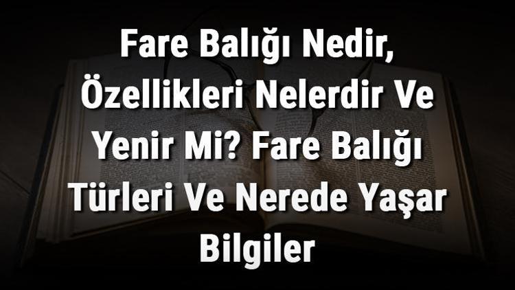 Fare Balığı Nedir, Özellikleri Nelerdir Ve Yenir Mi? Fare Balığı Türleri Ve Nerede Yaşar Bilgiler