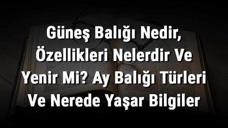 Güneş Balığı Nedir, Özellikleri Nelerdir Ve Yenir Mi? Ay Balığı Türleri Ve Nerede Yaşar Bilgiler