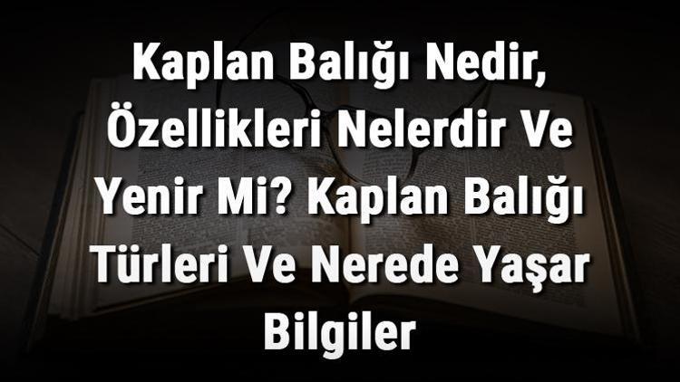 Kaplan Balığı Nedir, Özellikleri Nelerdir Ve Yenir Mi? Kaplan Balığı Türleri Ve Nerede Yaşar Bilgiler