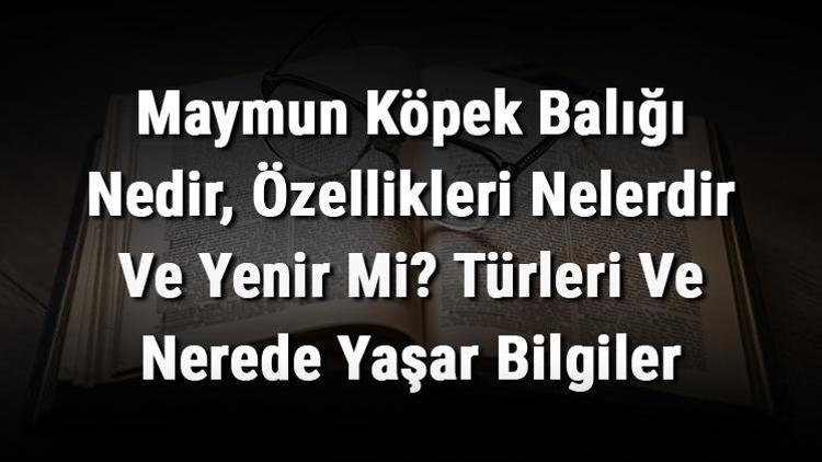 Maymun Köpek Balığı Nedir, Özellikleri Nelerdir Ve Yenir Mi? Türleri Ve Nerede Yaşar Bilgiler