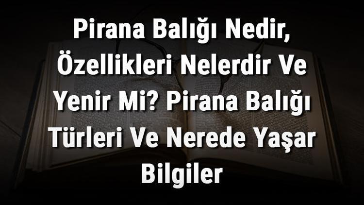 Pirana Balığı Nedir, Özellikleri Nelerdir Ve Yenir Mi Pirana Balığı Türleri Ve Nerede Yaşar Bilgiler