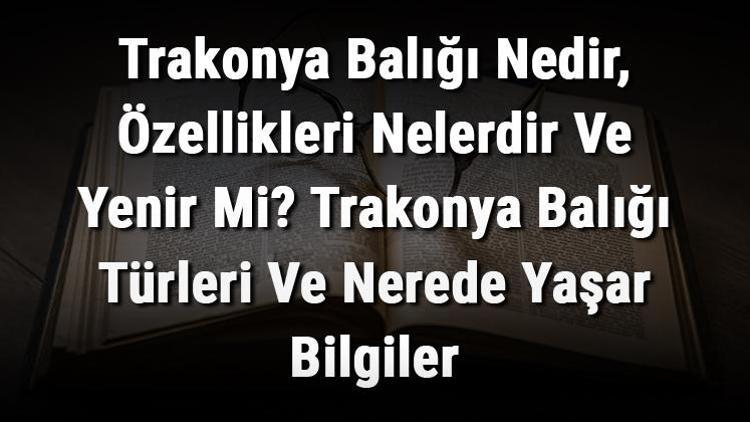 Trakonya Balığı Nedir, Özellikleri Nelerdir Ve Yenir Mi? Trakonya Balığı Türleri Ve Nerede Yaşar Bilgiler