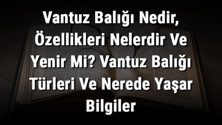 Vantuz Balığı Nedir, Özellikleri Nelerdir Ve Yenir Mi? Vantuz Balığı Türleri Ve Nerede Yaşar Bilgiler