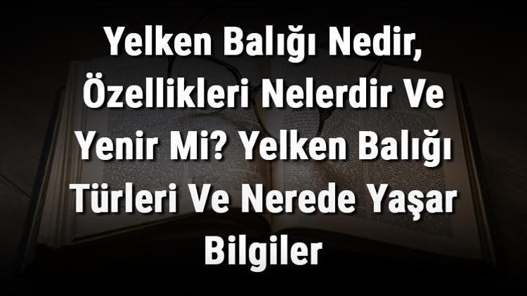 Yelken Balığı Nedir, Özellikleri Nelerdir Ve Yenir Mi? Yelken Balığı Türleri Ve Nerede Yaşar Bilgiler