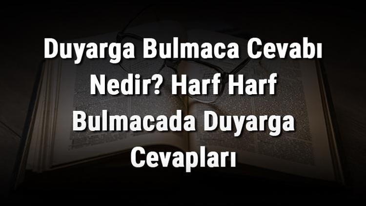 Duyarga Bulmaca Cevabı Nedir Harf Harf Bulmacada Duyarga Cevapları