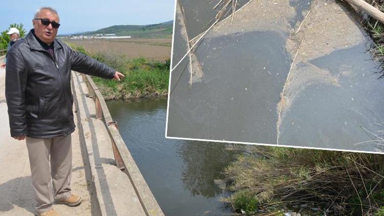 Gönen ve Susurluk çaylarındaki kirlilik tedirginlik yaratıyor Marmaraya zehir taşıyor