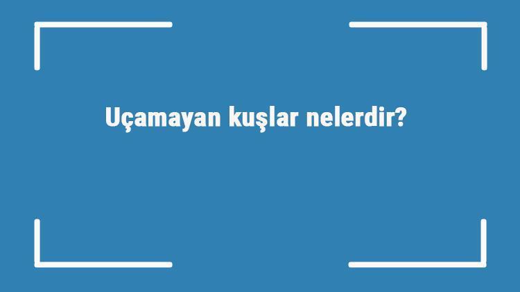 Uçamayan kuşlar nelerdir Uçamayan kuş türleri ve isimleri