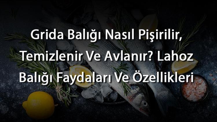 Grida Balığı Nasıl Pişirilir, Temizlenir Ve Avlanır? Lahoz Balığı Faydaları Ve Özellikleri