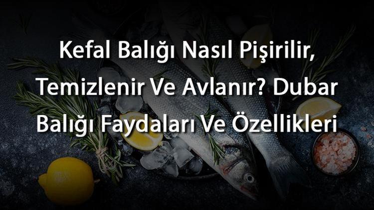 Kefal Balığı Nasıl Pişirilir, Temizlenir Ve Avlanır? Dubar Balığı Faydaları Ve Özellikleri