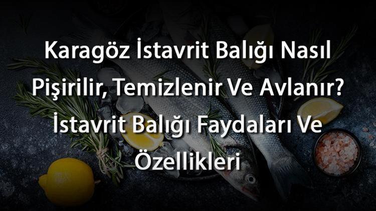 Karagöz İstavrit Balığı Nasıl Pişirilir, Temizlenir Ve Avlanır? İstavrit Balığı Faydaları Ve Özellikleri